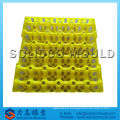 Plastic egg trays mold egg container injection mould